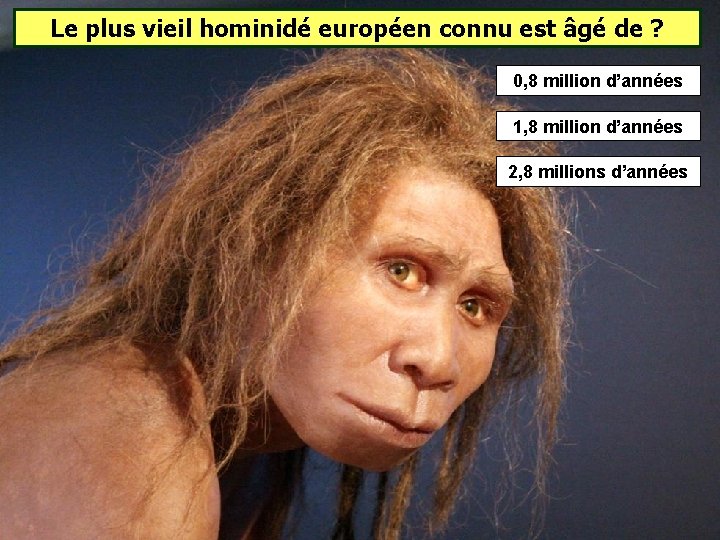 Le plus vieil hominidé européen connu est âgé de ? 0, 8 million d’années Le plus vieil hominidé européen connu est âgé de ? 0, 8 million d’années