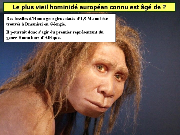Le plus vieil hominidé européen connu est âgé de ? Des fossiles d’Homo georgicus Le plus vieil hominidé européen connu est âgé de ? Des fossiles d’Homo georgicus