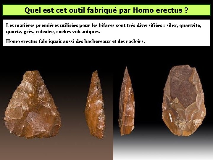 Quel est cet outil fabriqué par Homo erectus ? Les matières premières utilisées pour Quel est cet outil fabriqué par Homo erectus ? Les matières premières utilisées pour