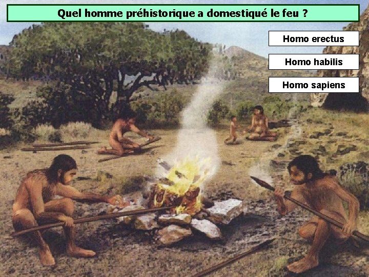 Quel homme préhistorique a domestiqué le feu ? Homo erectus Homo habilis Homo sapiens Quel homme préhistorique a domestiqué le feu ? Homo erectus Homo habilis Homo sapiens