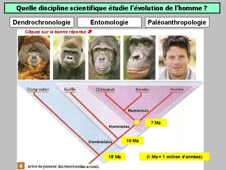 Quelle discipline scientifique étudie l’évolution de l’homme ? Dendrochronologie Entomologie Paléoanthropologie Cliquez sur la Quelle discipline scientifique étudie l’évolution de l’homme ? Dendrochronologie Entomologie Paléoanthropologie Cliquez sur la
