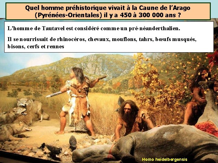 Quel homme préhistorique vivait à la Caune de l’Arago (Pyrénées-Orientales) il y a 450 Quel homme préhistorique vivait à la Caune de l’Arago (Pyrénées-Orientales) il y a 450