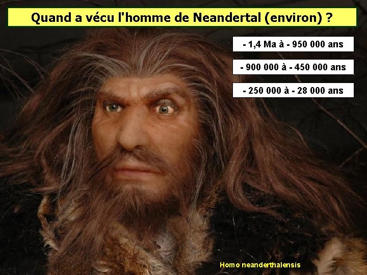 Quand a vécu l'homme de Neandertal (environ) ? - 1, 4 Ma à - Quand a vécu l'homme de Neandertal (environ) ? - 1, 4 Ma à -