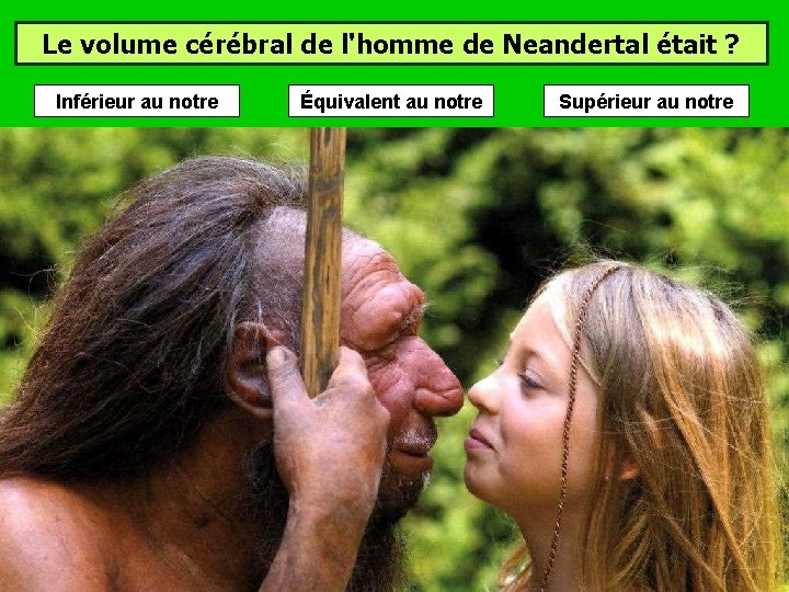 Le volume cérébral de l'homme de Neandertal était ? Inférieur au notre Équivalent au Le volume cérébral de l'homme de Neandertal était ? Inférieur au notre Équivalent au