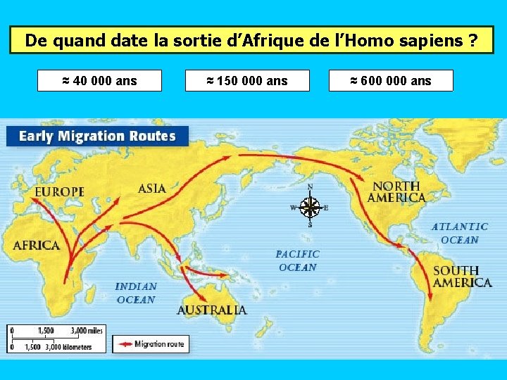 De quand date la sortie d’Afrique de l’Homo sapiens ? ≈ 40 000 ans De quand date la sortie d’Afrique de l’Homo sapiens ? ≈ 40 000 ans