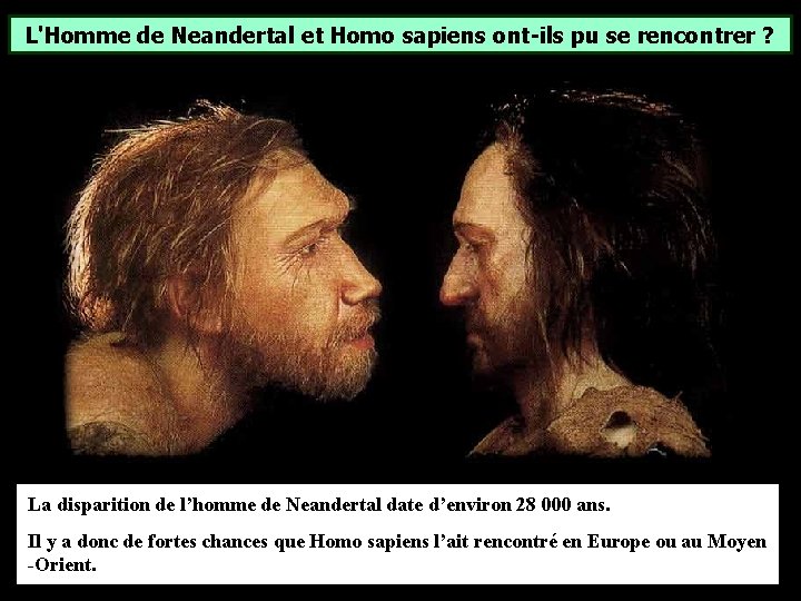 L'Homme de Neandertal et Homo sapiens ont-ils pu se rencontrer ? La disparition de L'Homme de Neandertal et Homo sapiens ont-ils pu se rencontrer ? La disparition de