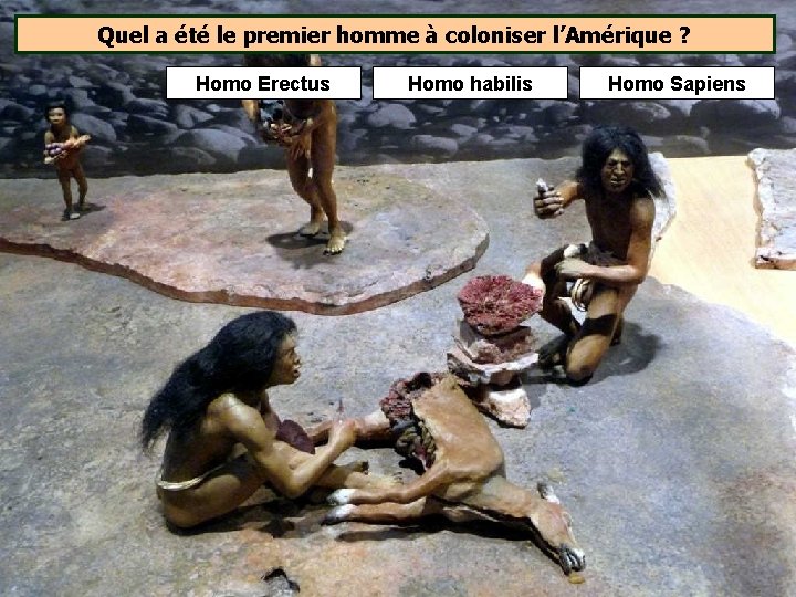 Quel a été le premier homme à coloniser l’Amérique ? Homo Erectus Homo habilis Quel a été le premier homme à coloniser l’Amérique ? Homo Erectus Homo habilis