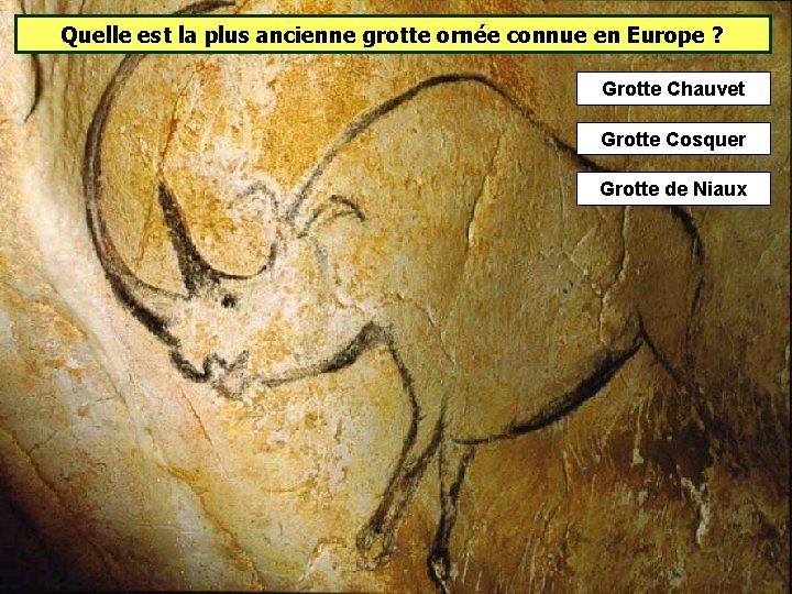 Quelle est la plus ancienne grotte ornée connue en Europe ? Grotte Chauvet Grotte Quelle est la plus ancienne grotte ornée connue en Europe ? Grotte Chauvet Grotte
