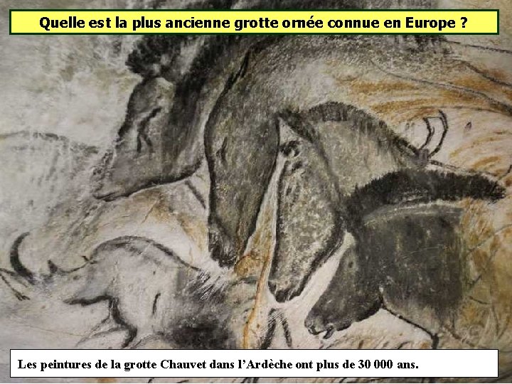 Quelle est la plus ancienne grotte ornée connue en Europe ? Les peintures de Quelle est la plus ancienne grotte ornée connue en Europe ? Les peintures de
