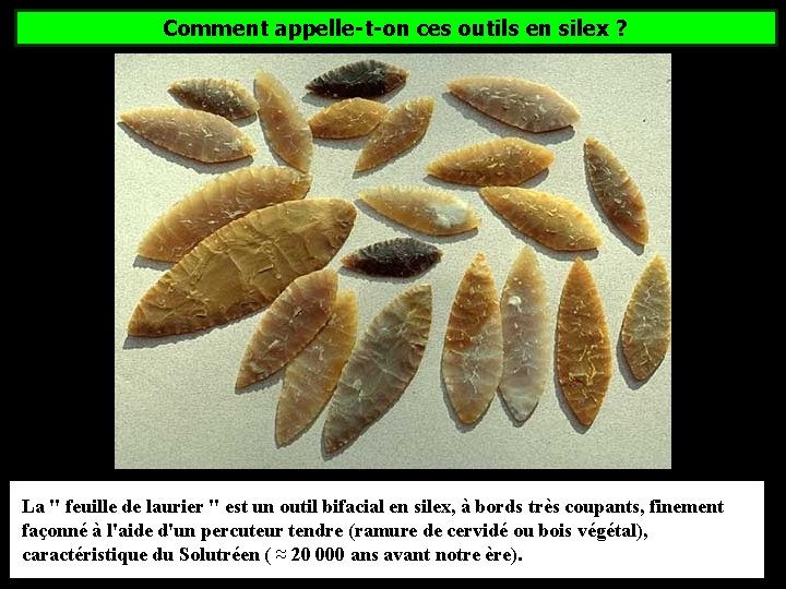 Comment appelle-t-on ces outils en silex ? La " feuille de laurier " est Comment appelle-t-on ces outils en silex ? La " feuille de laurier " est