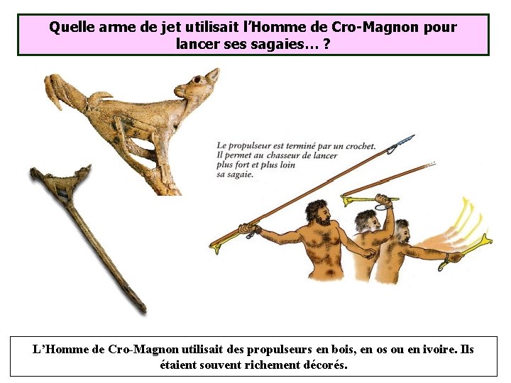 Quelle arme de jet utilisait l’Homme de Cro-Magnon pour lancer ses sagaies… ? L’Homme Quelle arme de jet utilisait l’Homme de Cro-Magnon pour lancer ses sagaies… ? L’Homme