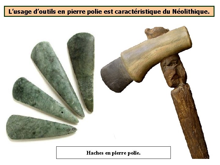 L’usage d’outils en pierre polie est caractéristique du Néolithique. Haches en pierre polie. L’usage d’outils en pierre polie est caractéristique du Néolithique. Haches en pierre polie.