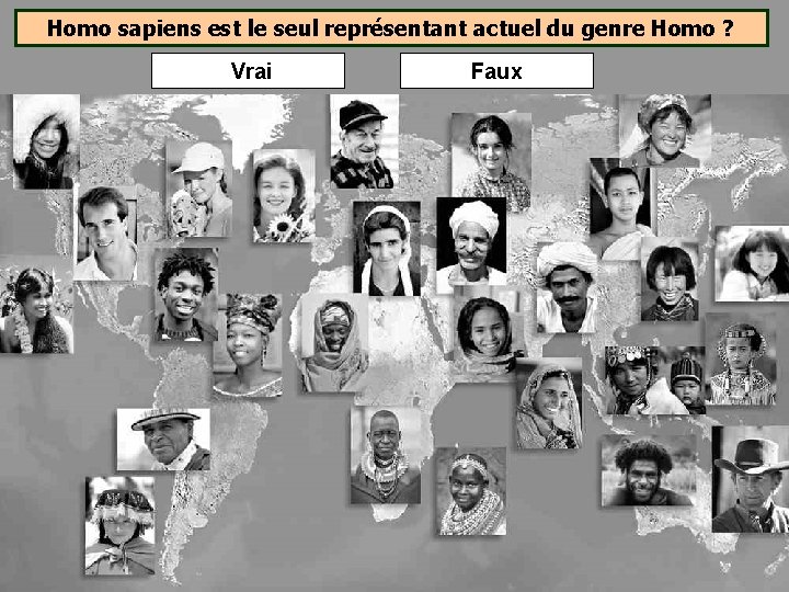 Homo sapiens est le seul représentant actuel du genre Homo ? Vrai Faux Homo sapiens est le seul représentant actuel du genre Homo ? Vrai Faux