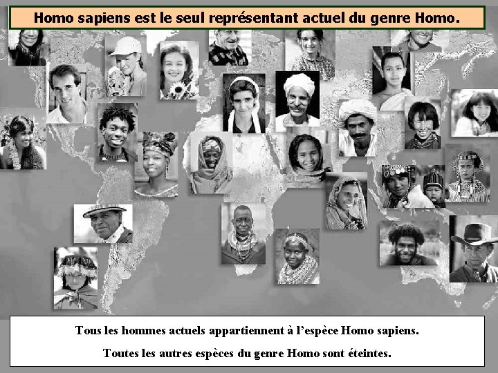 Homo sapiens est le seul représentant actuel du genre Homo. Tous les hommes actuels Homo sapiens est le seul représentant actuel du genre Homo. Tous les hommes actuels