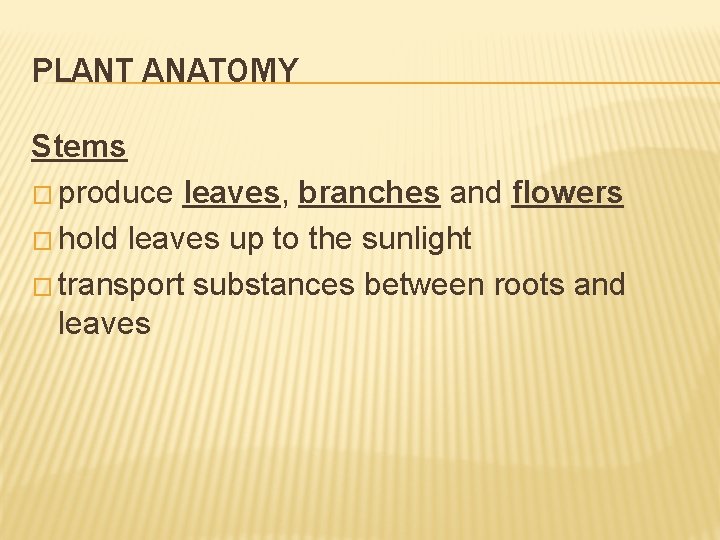 PLANT ANATOMY Stems � produce leaves, branches and flowers � hold leaves up to