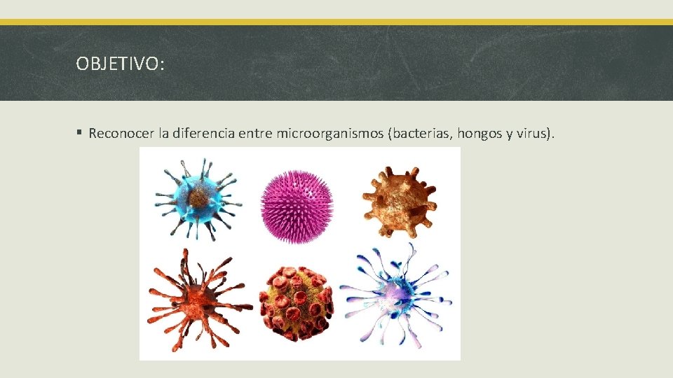 OBJETIVO: § Reconocer la diferencia entre microorganismos (bacterias, hongos y virus). 