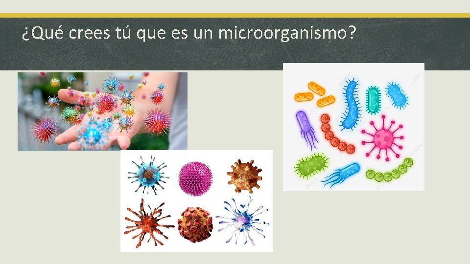 ¿Qué crees tú que es un microorganismo? 