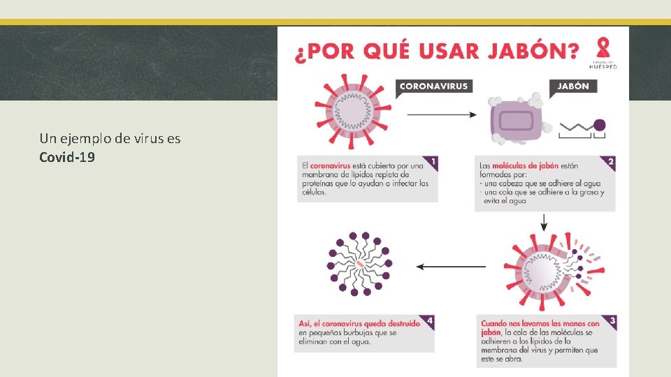 Un ejemplo de virus es Covid-19 