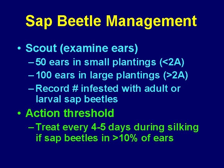 Sap Beetle Management • Scout (examine ears) – 50 ears in small plantings (<2