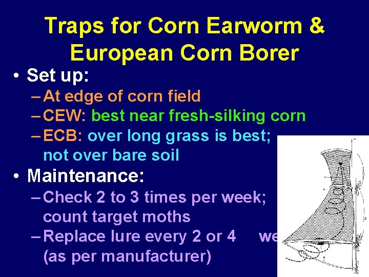 Traps for Corn Earworm & European Corn Borer • Set up: – At edge