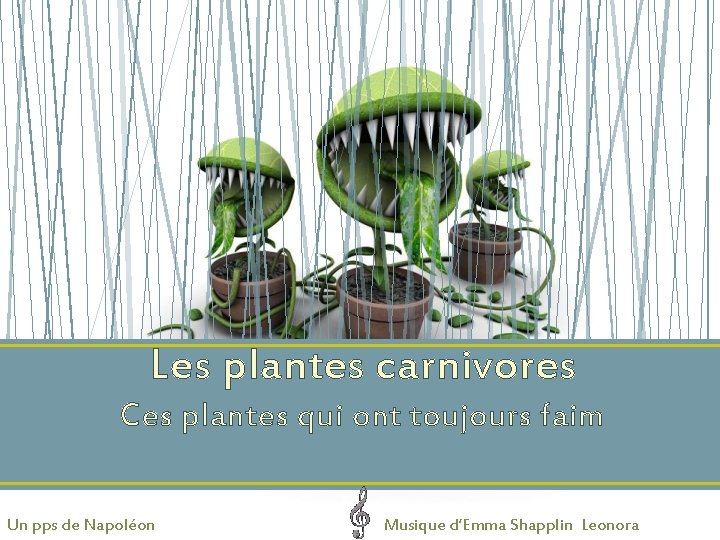 Les plantes carnivores Ces plantes qui ont toujours faim Un pps de Napoléon Musique