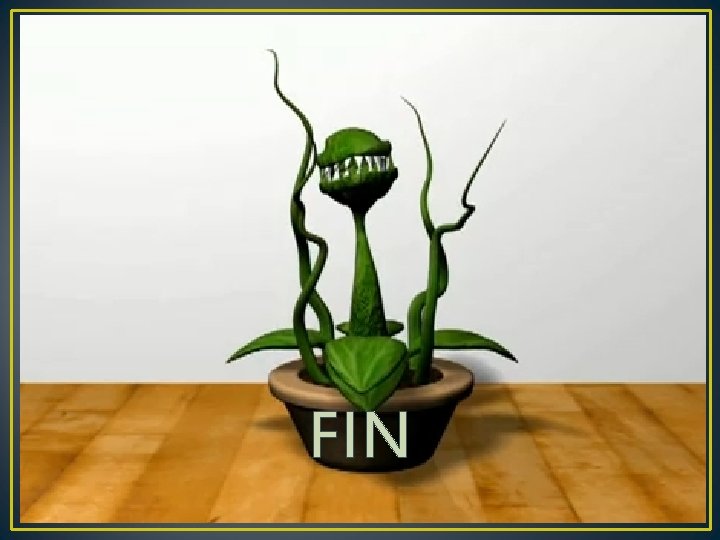 FIN 