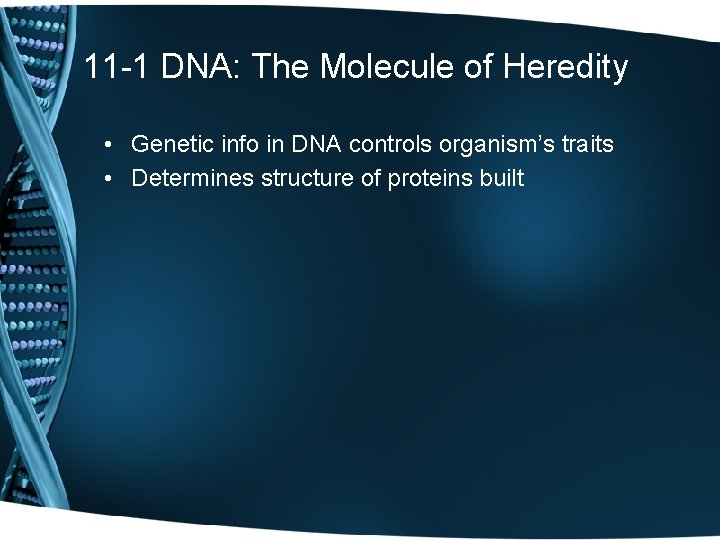 11 -1 DNA: The Molecule of Heredity • Genetic info in DNA controls organism’s