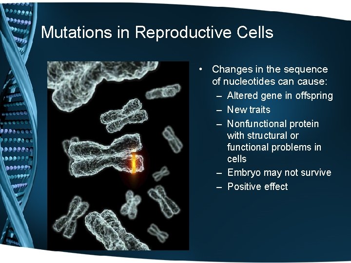 Mutations in Reproductive Cells • Changes in the sequence of nucleotides can cause: –