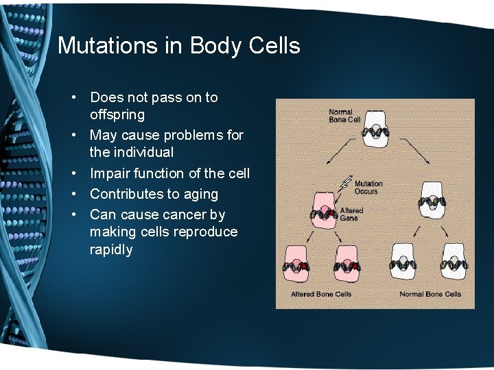 Mutations in Body Cells • Does not pass on to offspring • May cause