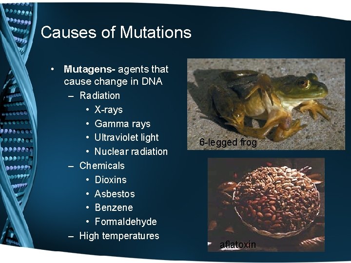 Causes of Mutations • Mutagens- agents that cause change in DNA – Radiation •