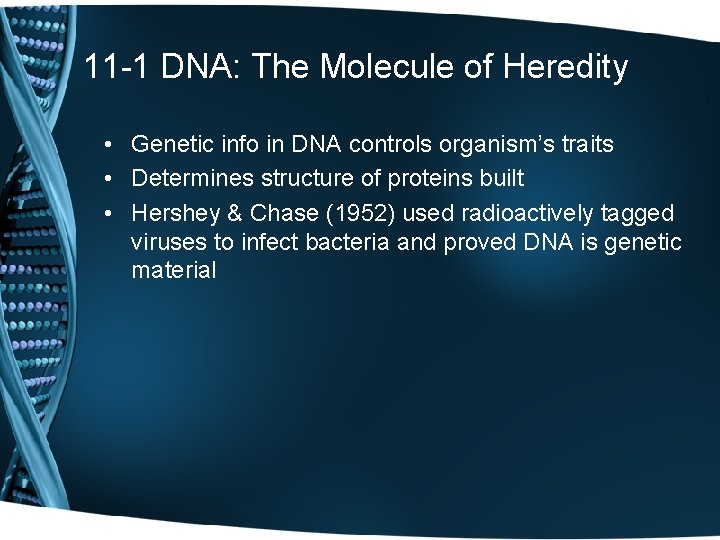 11 -1 DNA: The Molecule of Heredity • Genetic info in DNA controls organism’s