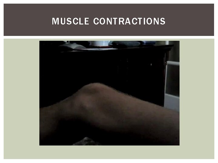 MUSCLE CONTRACTIONS 