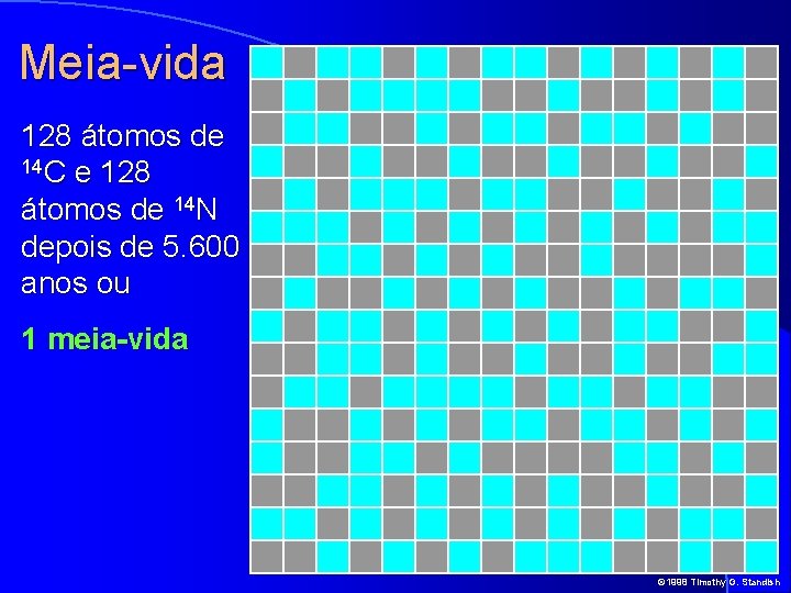 Meia-vida 128 átomos de 14 C e 128 átomos de 14 N depois de