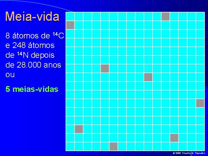 Meia-vida 8 átomos de 14 C e 248 átomos de 14 N depois de