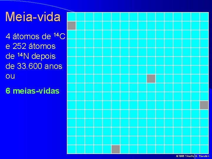 Meia-vida 4 átomos de 14 C e 252 átomos de 14 N depois de