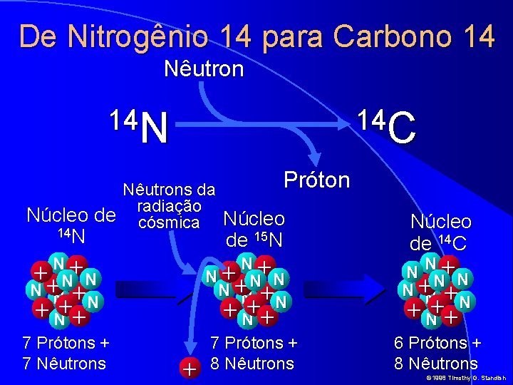 De Nitrogênio 14 para Carbono 14 Nêutron 14 N 14 C Próton Nêutrons da