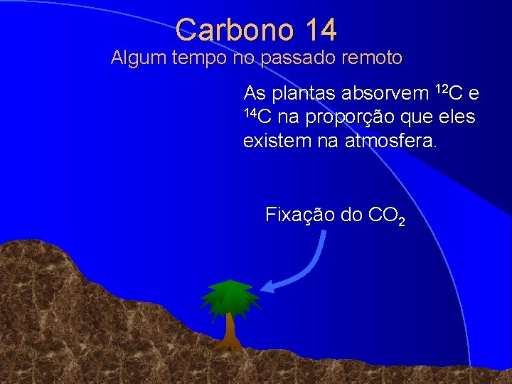 Carbono 14 Algum tempo no passado remoto As plantas absorvem 12 C e 14