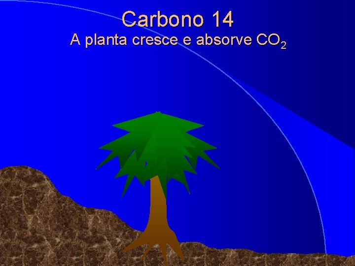Carbono 14 A planta cresce e absorve CO 2 © 1998 Timothy G. Standish
