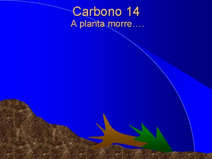 Carbono 14 A planta morre…. © 1998 Timothy G. Standish 