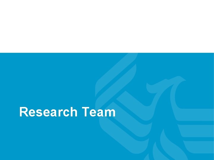 Research Team Research Team