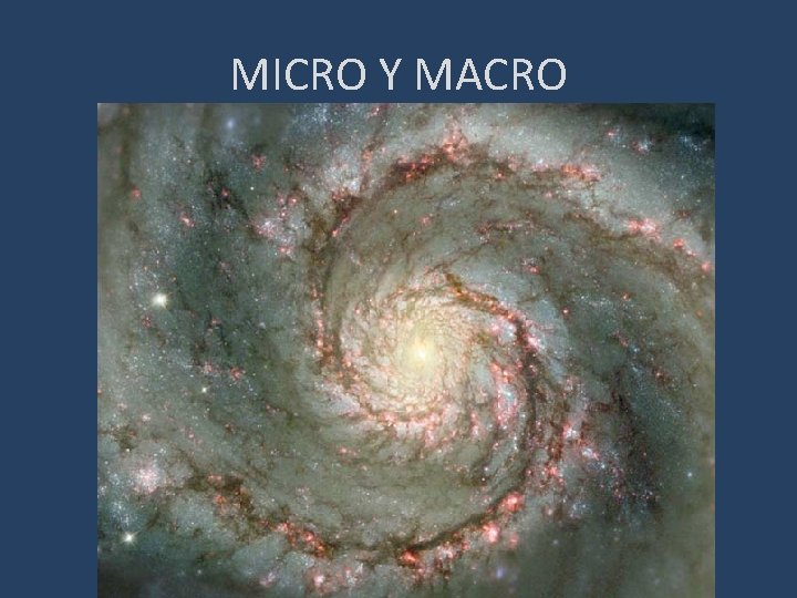 MICRO Y MACRO 