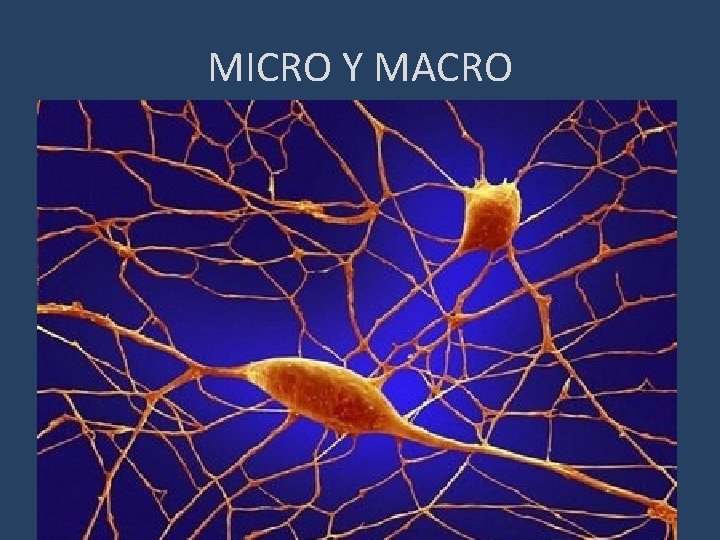 MICRO Y MACRO 