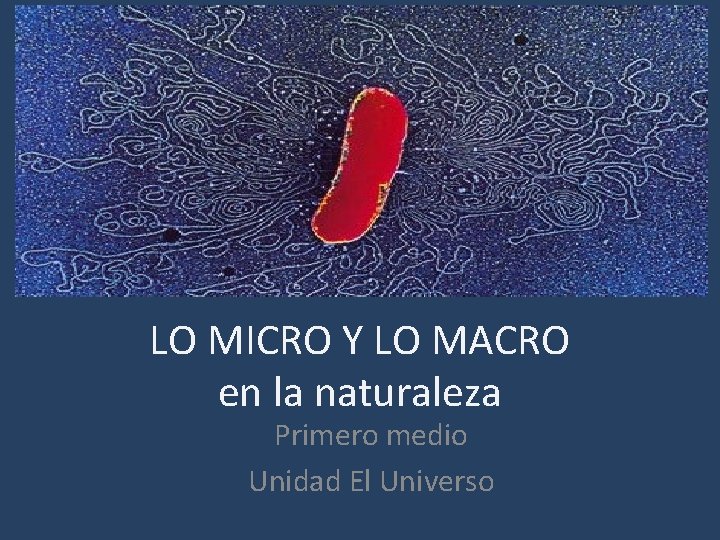 LO MICRO Y LO MACRO en la naturaleza Primero medio Unidad El Universo 