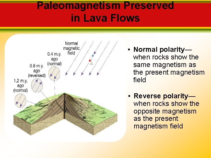 Paleomagnetism Preserved in Lava Flows • Normal polarity— when rocks show the same magnetism Paleomagnetism Preserved in Lava Flows • Normal polarity— when rocks show the same magnetism