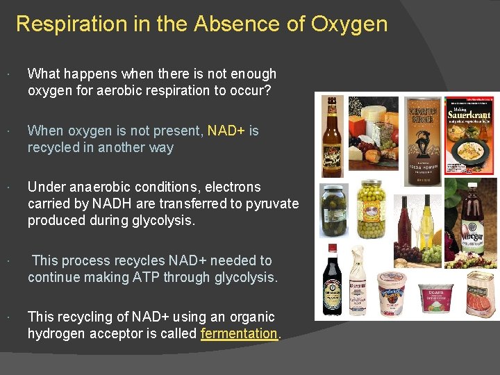 Respiration in the Absence of Oxygen What happens when there is not enough oxygen