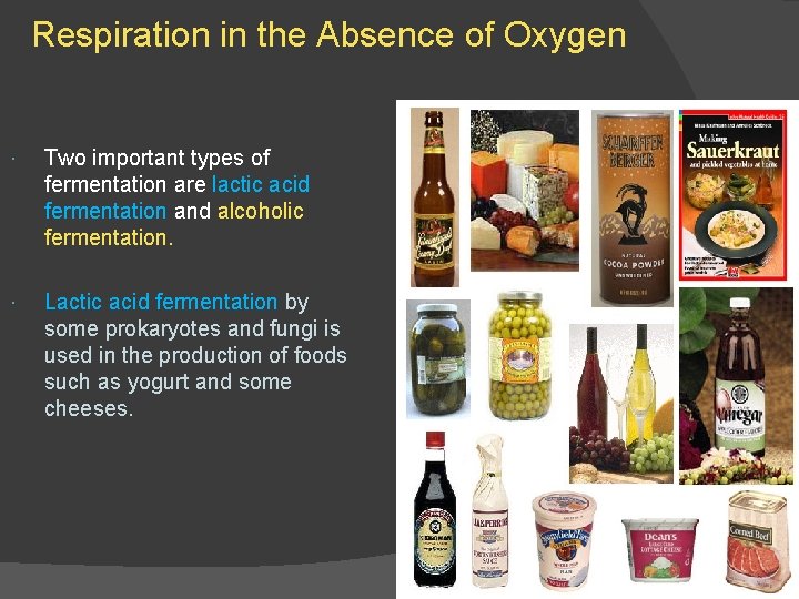 Respiration in the Absence of Oxygen Two important types of fermentation are lactic acid