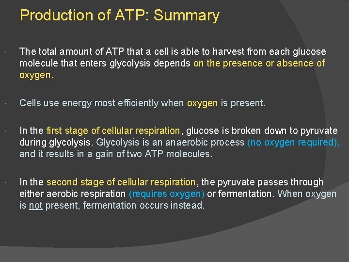 Production of ATP: Summary The total amount of ATP that a cell is able