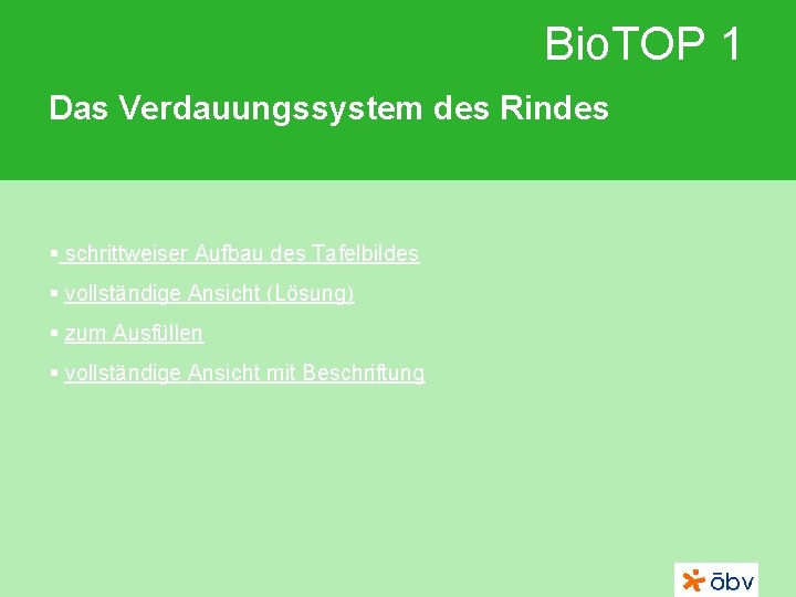 Bio. TOP 1 Das Verdauungssystem des Rindes § schrittweiser Aufbau des Tafelbildes § vollständige