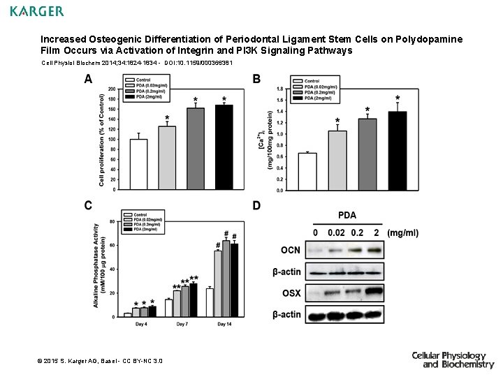 Increased Osteogenic Differentiation of Periodontal Ligament Stem Cells on Polydopamine Film Occurs via Activation