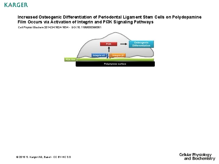 Increased Osteogenic Differentiation of Periodontal Ligament Stem Cells on Polydopamine Film Occurs via Activation